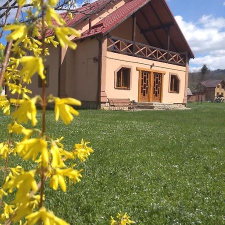 Затишок В Карпатах Villa Iaremcea Exterior foto