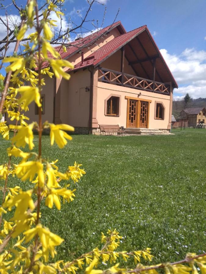 Затишок В Карпатах Villa Iaremcea Exterior foto