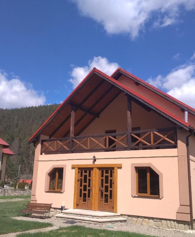 Затишок В Карпатах Villa Iaremcea Exterior foto
